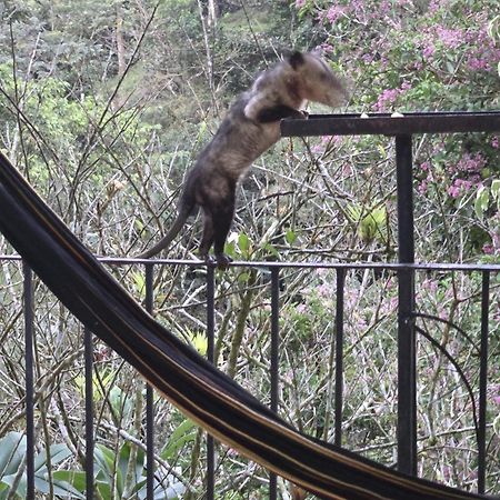 El Valle De Anton La Chachalaca Ngoại thất bức ảnh
