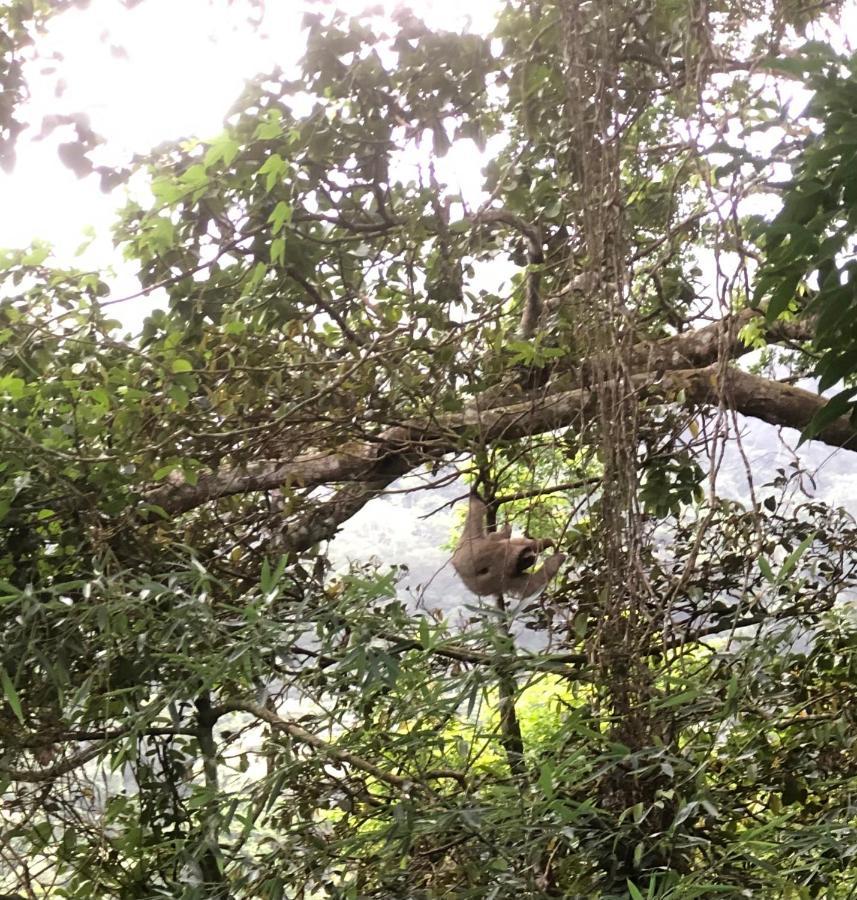 El Valle De Anton La Chachalaca Ngoại thất bức ảnh