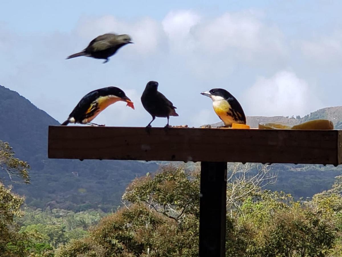 El Valle De Anton La Chachalaca Ngoại thất bức ảnh