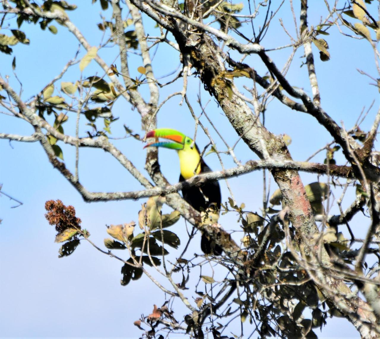 El Valle De Anton La Chachalaca Ngoại thất bức ảnh