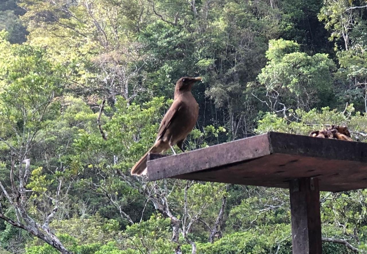 El Valle De Anton La Chachalaca Ngoại thất bức ảnh